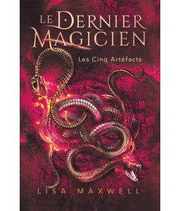 Le dernier magicien - T2