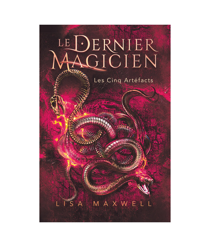 Le dernier magicien - T2