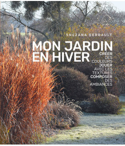 Mon jardin en hiver
