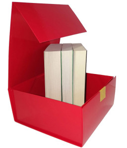 Box Noël 2020 - Thriller