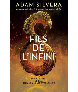 Fils de l'infini tome 1