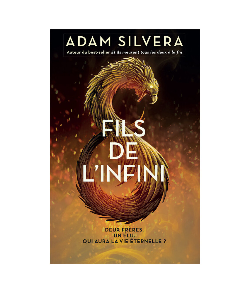 Fils de l'infini tome 1