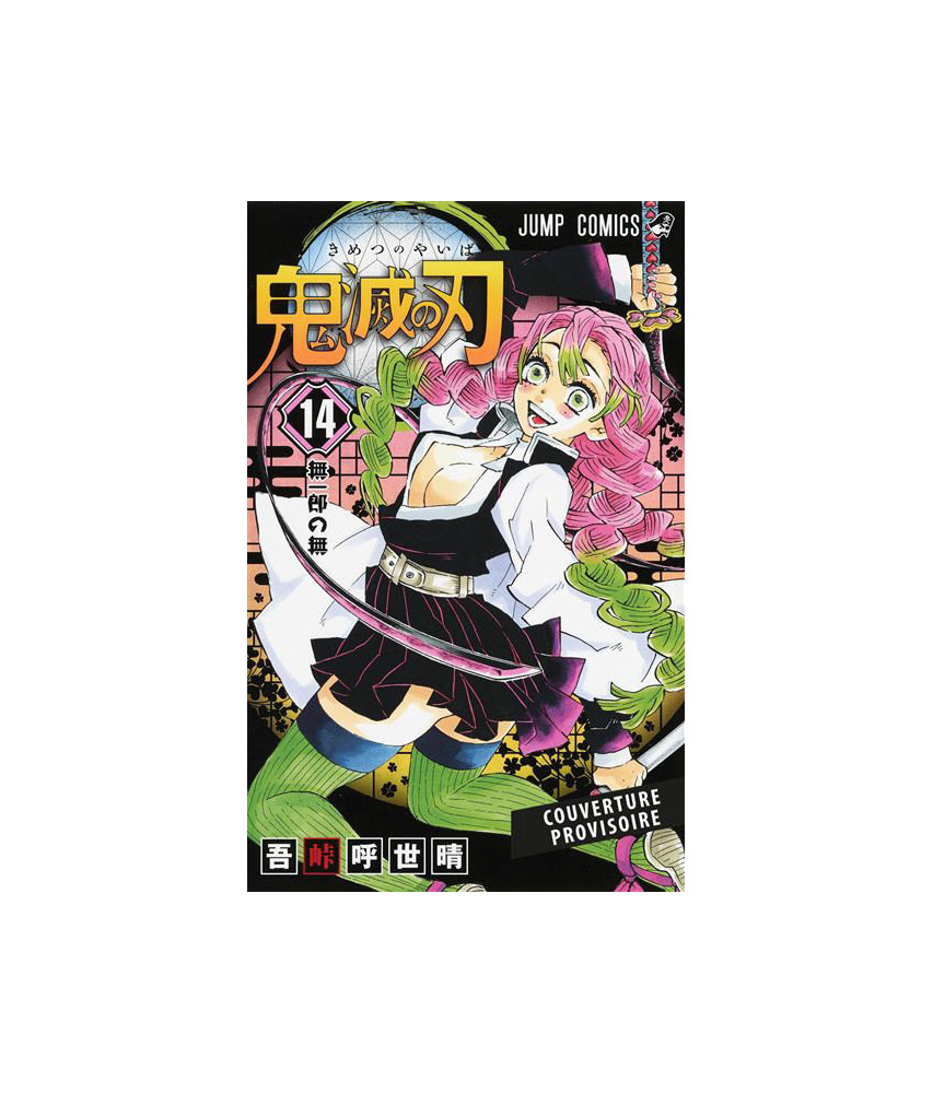 Demon slayer - Tome 14