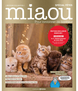 Miaou spécial fêtes