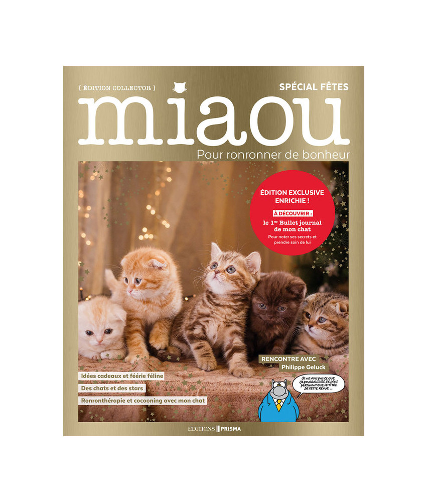 Quel cadeau de Noël pour mon chat ? - FELIWAY France