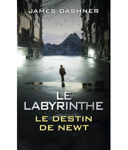 Le Labyrinthe