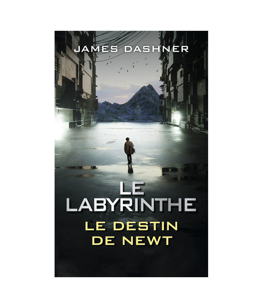 Le Labyrinthe