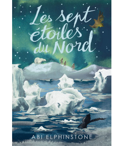 Les sept étoiles du Nord