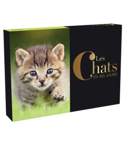 Les chats en 365 jours