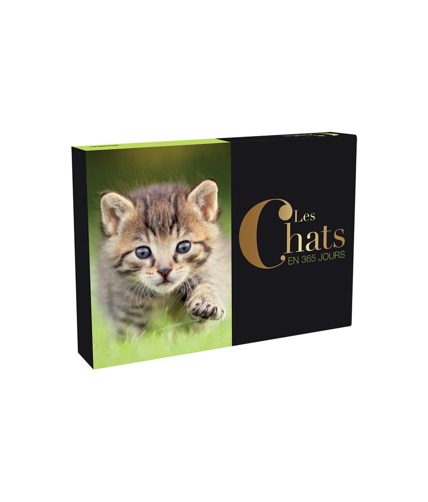 Les chats en 365 jours Les chats en 365 jours