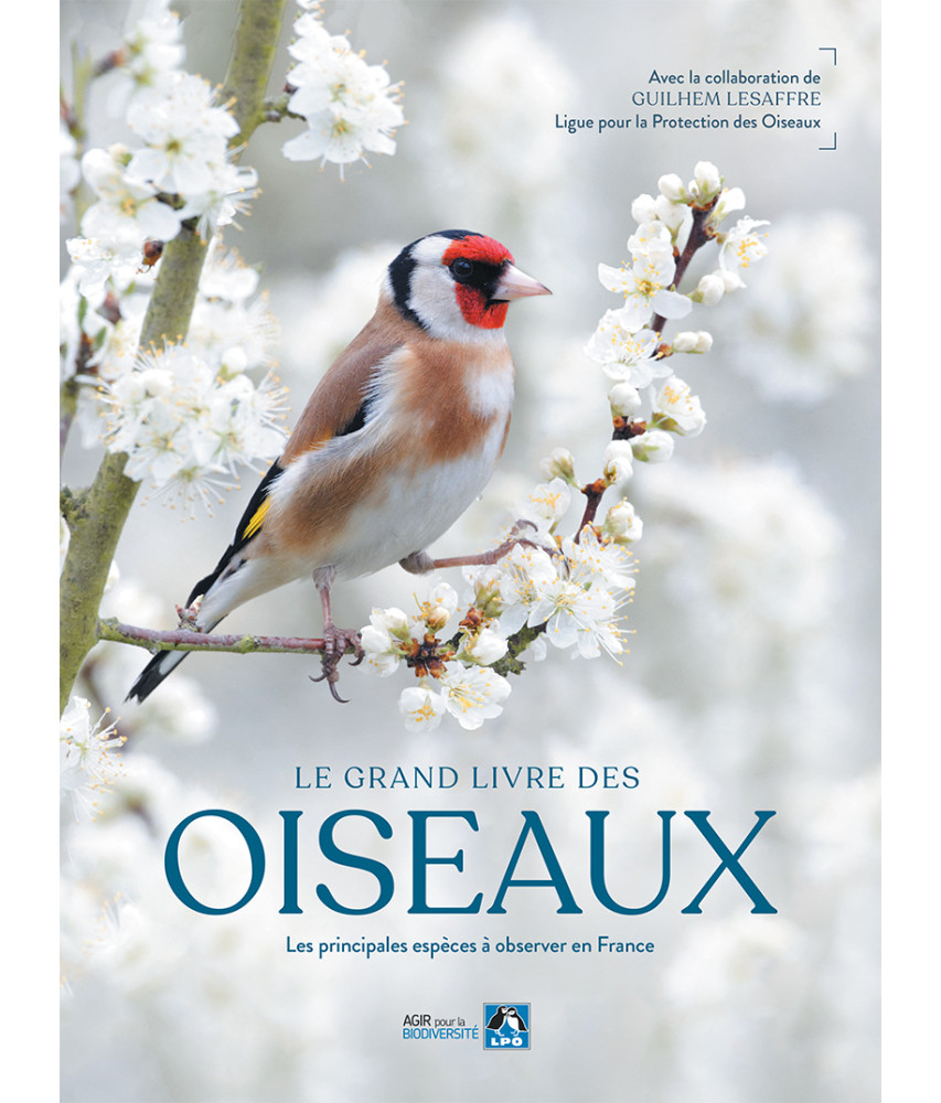 Le grand livre des oiseaux