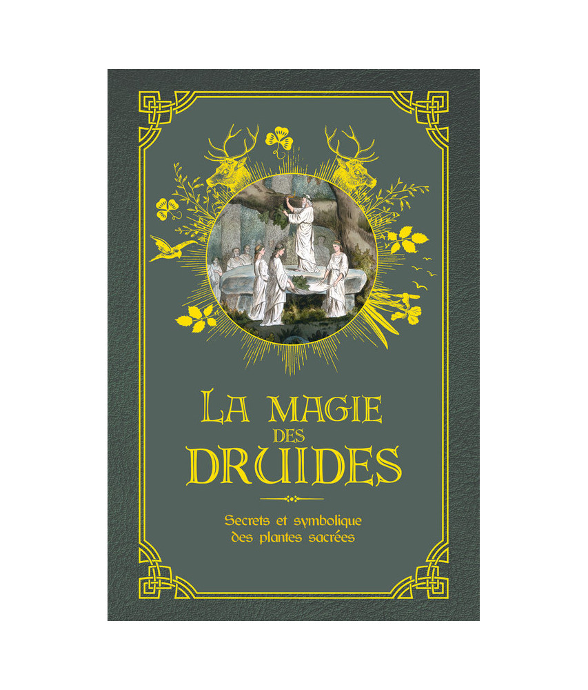 La Magie des druides