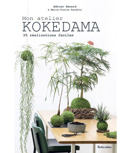 Mon atelier kokedama