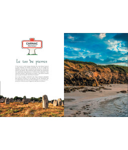 Métrobreizh illustré