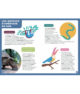 Coffret ATLAS - Un puzzle, un livre, un poster