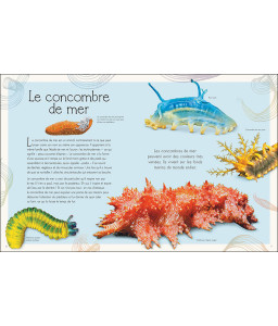 L'anthologie illustrée du Monde aquatique