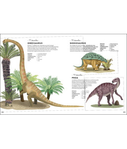 Un dinosaure par jour