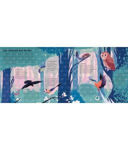 Le monde des oiseaux - Les sons de la nature