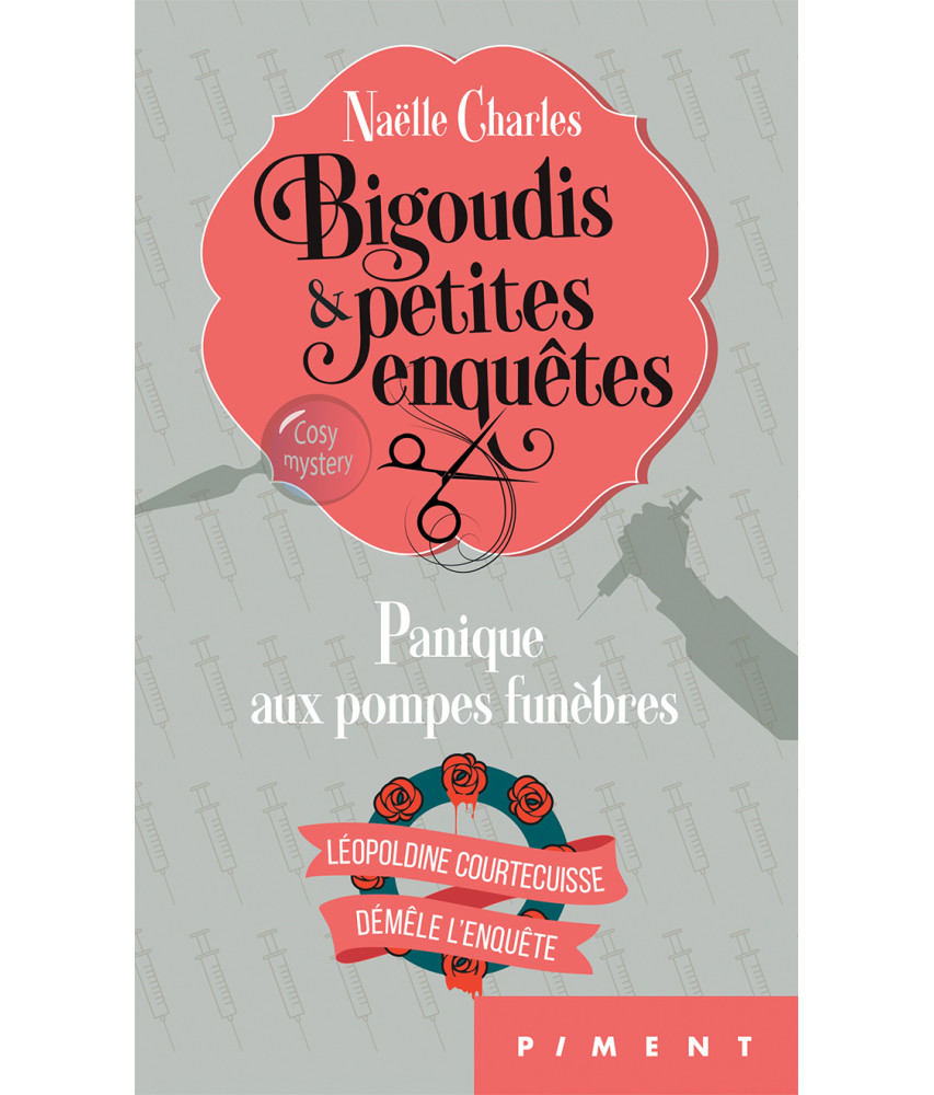 Bigoudis et petites enquêtes, tome 2