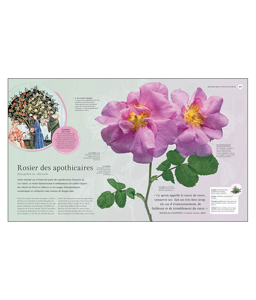Le beau livre des plantes aromatiques et mdicinales