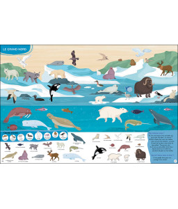 Cherche et trouve 1000 animaux
