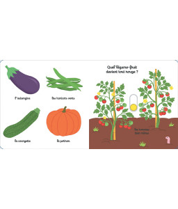 Mon imagier des légumes