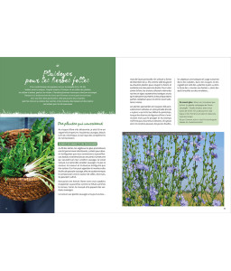Mauvaises herbes, même pas peur !