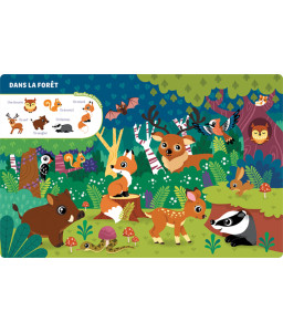 Mon tout premier cherche et trouve, les animaux du monde