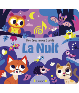 Mon livre sonore à volets, la nuit