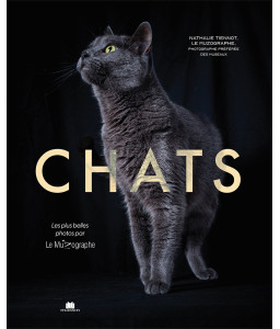 Chats