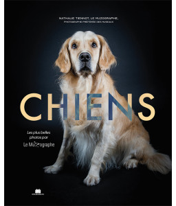 Chiens