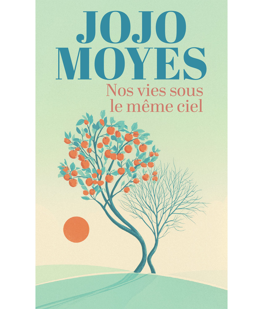 Nos vies sous le même ciel