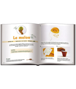 Faites pousser vos noyaux et pépins ! (2)