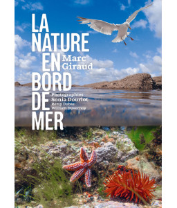 La nature en bord de mer