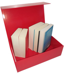 Box Noël 2020 - Suspense