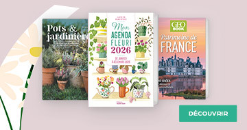 JARDIN, NATURE & VOYAGE