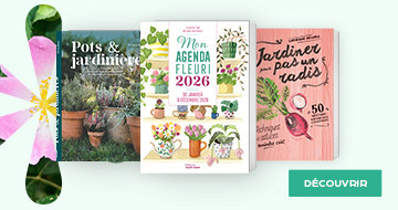 JARDIN, NATURE & VOYAGE