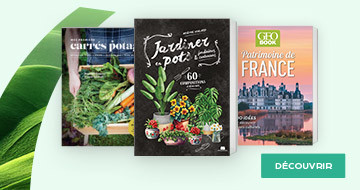 JARDIN, NATURE & VOYAGE